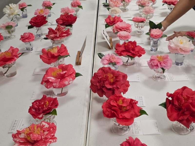 Return to “Best in&nbsp;Show”